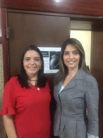 CDMS E CEVM participam de audiência pública sobre Violência Obstétrica