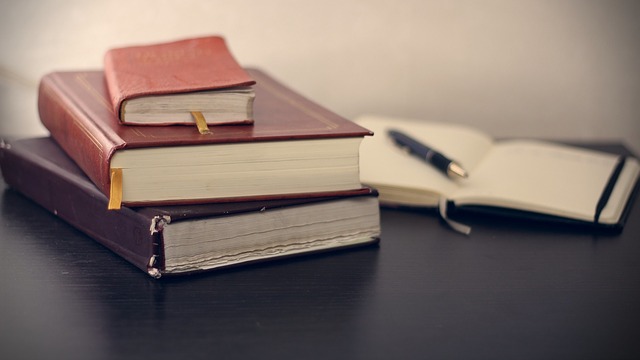 Publicados editais para as pós-graduações da ESA/UFG