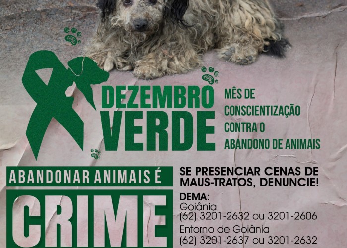 Tribunal do Júri poderá decidir sobre crime de latrocínio