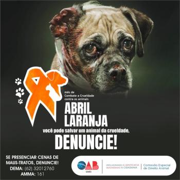 Em alusão ao Abril Laranja, OAB-GO realiza campanha contra maus-tratos de animais