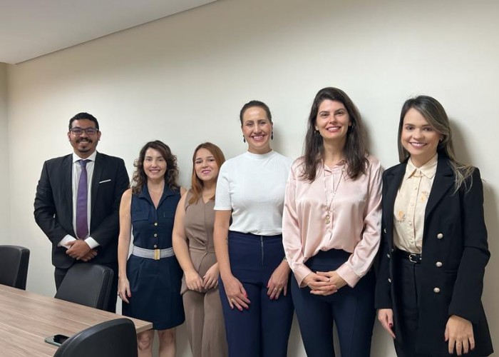 Em reunião, Comissão de Sucessões discute proposta de mutirão em processos de inventário