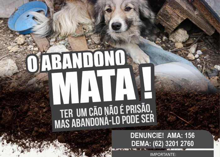 Comissão Especial de Direito Animal lança campanha para combater o abandono de animais neste período de férias