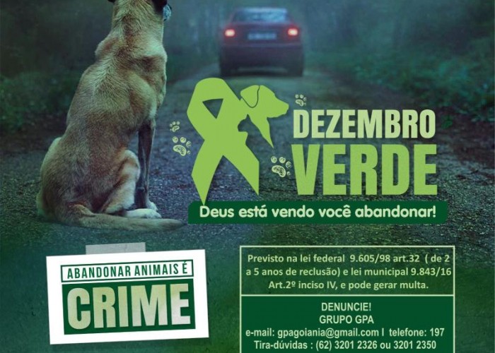 DEZEMBRO VERDE: OAB-GO LANÇA CAMPANHA CONTRA ABANDONO DE ANIMAIS