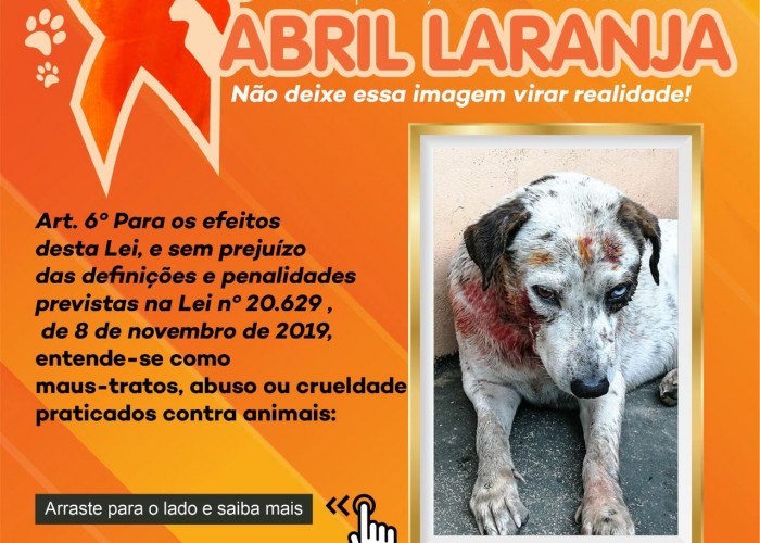 Abril Laranja: OAB-GO apoia campanha de combate à crueldade animal