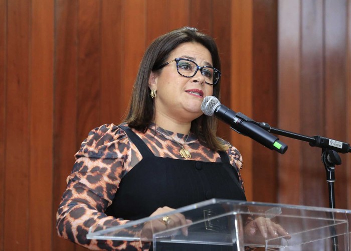 OAB-GO participa do seminário ‘Aspectos Teóricos e Práticos do Acolhimento em Família Acolhedora’ do MP-GO