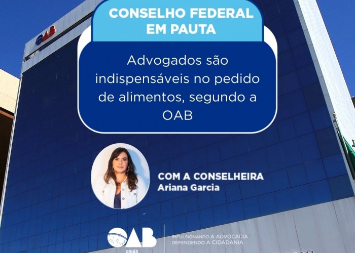 Conselho Federal: Advogados são indispensáveis no pedido de alimentos, segundo a OAB