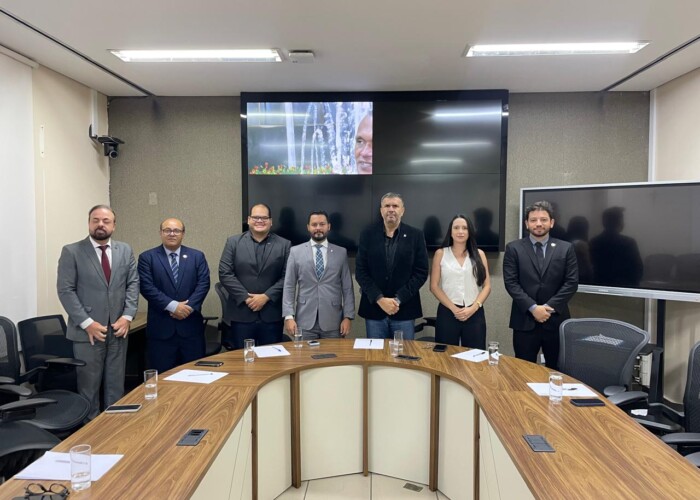Comissão de Direito do Consumidor da OAB-GO realiza visita institucional à Câmara de Goiânia