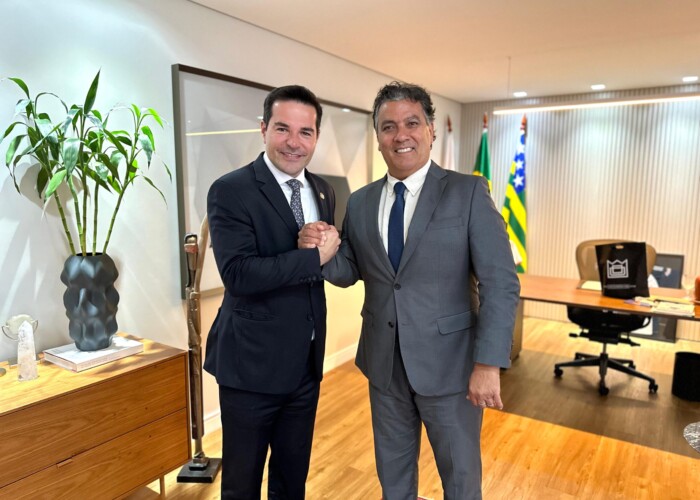 Thales Jayme assume interinamente presidência da OAB-GO entre os dias 2 e 15 de julho