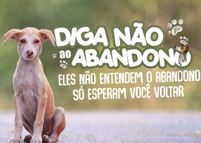 Comissão de Direito Animal da OAB-GO e Câmara Municipal lançam campanha “Diga Não ao Abandono”