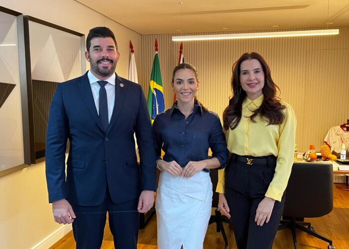 OAB-GO empossa novos vice-presidentes para o triênio 2025-2027 na Comissão OAB Amiga