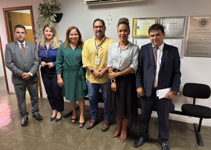 Comissões da OAB-GO discutem implementação da Instrução Concentrada na Justiça Federal