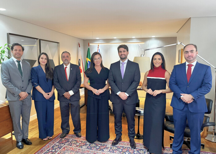 Novos diretores da Comissão de Direito Político e Eleitoral tomam posse na OAB-GO