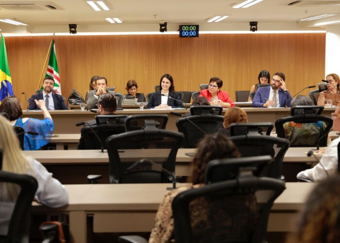 CDCA da OAB-GO participa da instalação da Frente Parlamentar da Primeira Infância na Alego