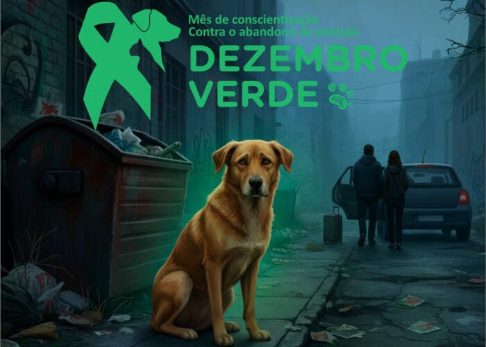 Comissão de Direito Animal, Polícia Civil e Amma lançam campanha ‘Dezembro Verde’ em combate ao abandono de animais no fim de ano