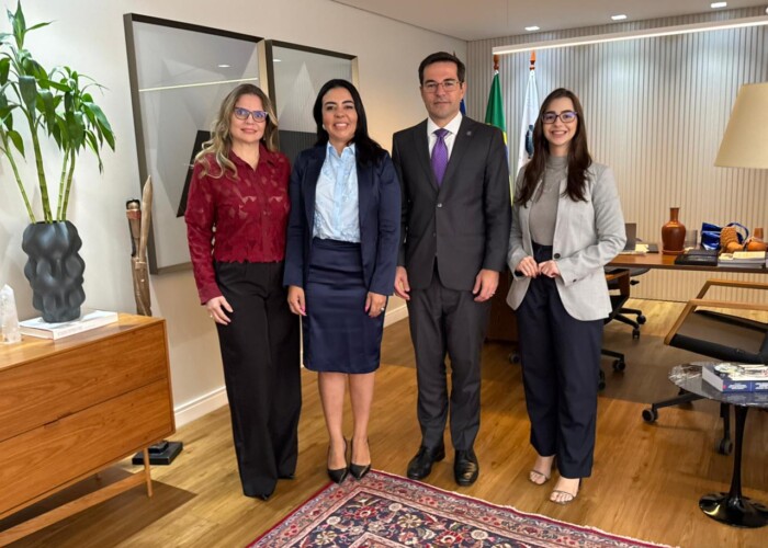 Comissão de Direito da Saúde apresenta à presidência da OAB-GO diagnóstico técnico sobre unidades públicas de saúde