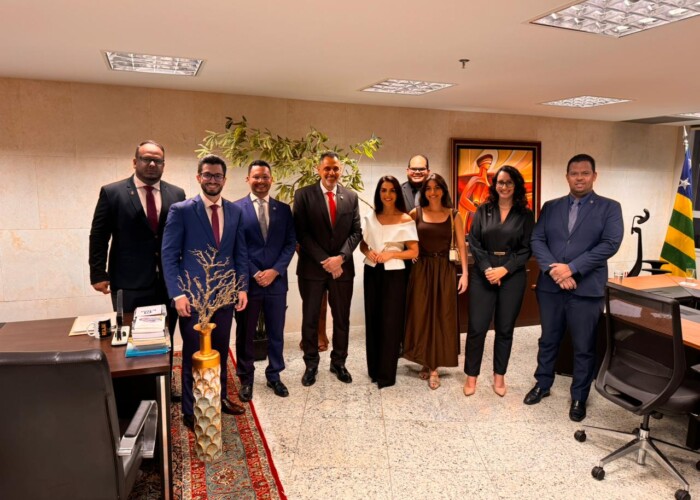 Delimitação de processos cíveis afetados por IRDR nº 1.417 do STF é debatida pela advocacia com a Corregedoria do TJGO