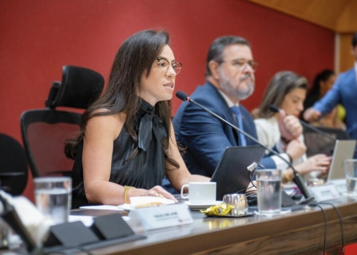 OAB-GO defende aperfeiçoamento da legislação diante de casos de violência contra a mulher e limitações para punição disciplinar