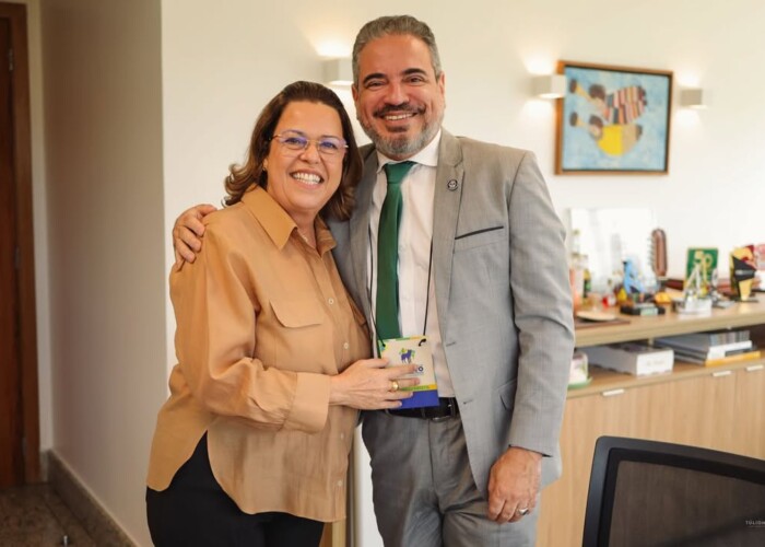 CDF da OAB-GO discute iniciativas de proteção às famílias em reunião com deputada estadual