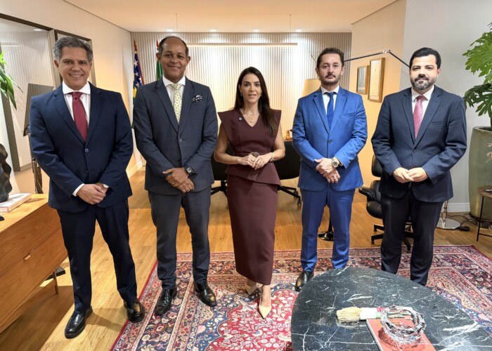 Seccional Goiana requer apoio do CFOAB para aprovação de PL que garante a obrigatoriedade da advocacia em processos perante Tribunais de Contas