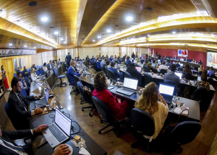 Conselho Seccional aprova novas regras para organização da advocacia dativa em Goiás