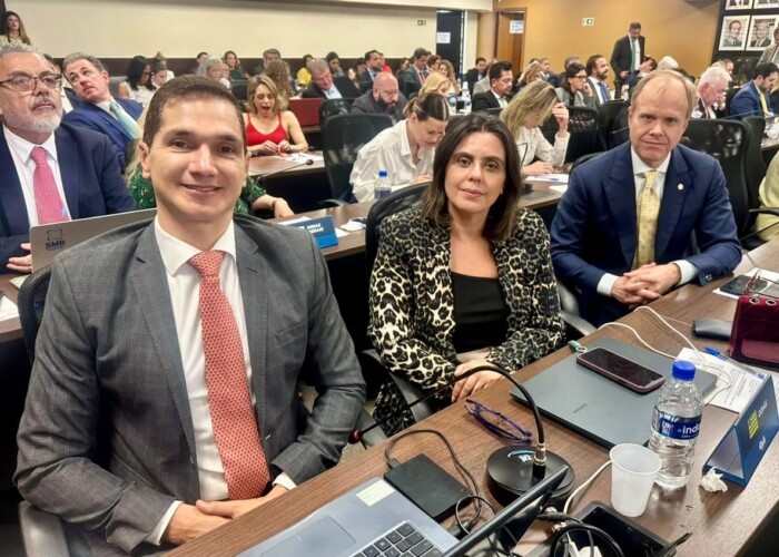 Conselheiros federais por Goiás participam de sessão da OAB Nacional que debate crise no STF